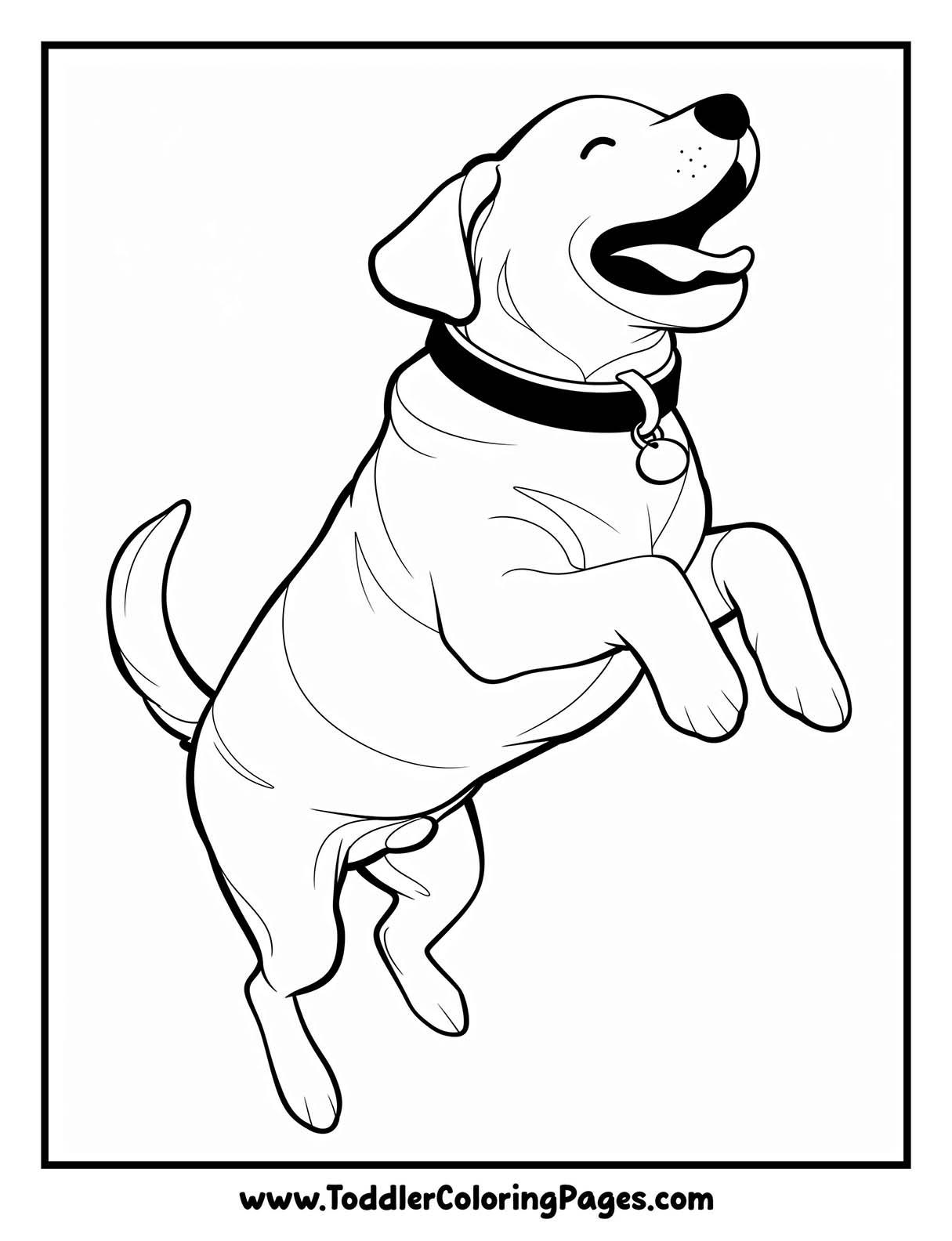 Animals Coloring Pages